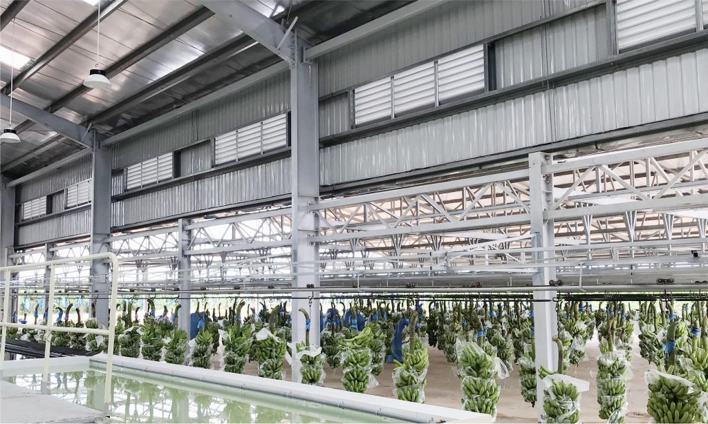Agricultural equipment boosts productivity and efficiency