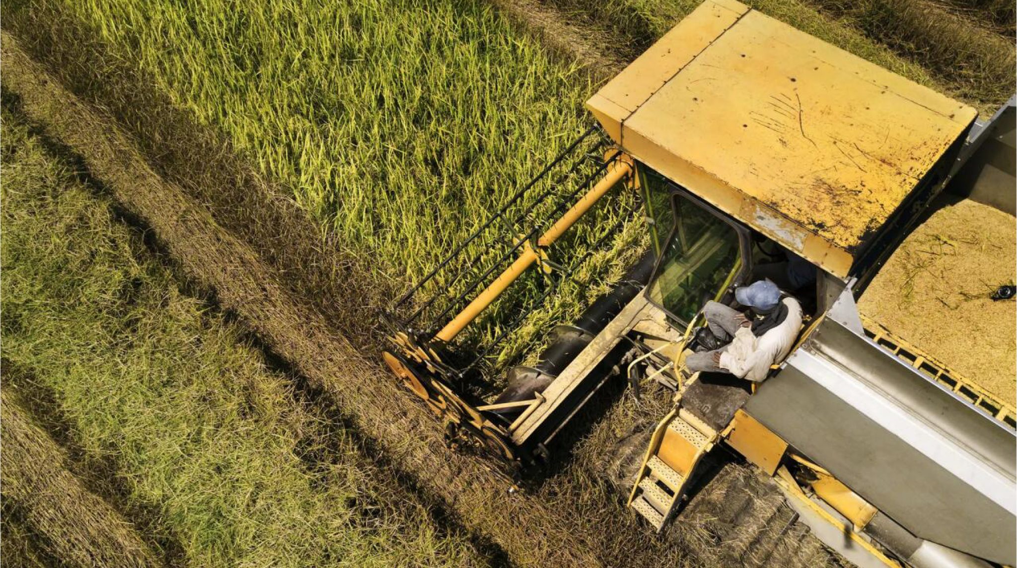 Agricultural equipment supports both farmers and the national economy