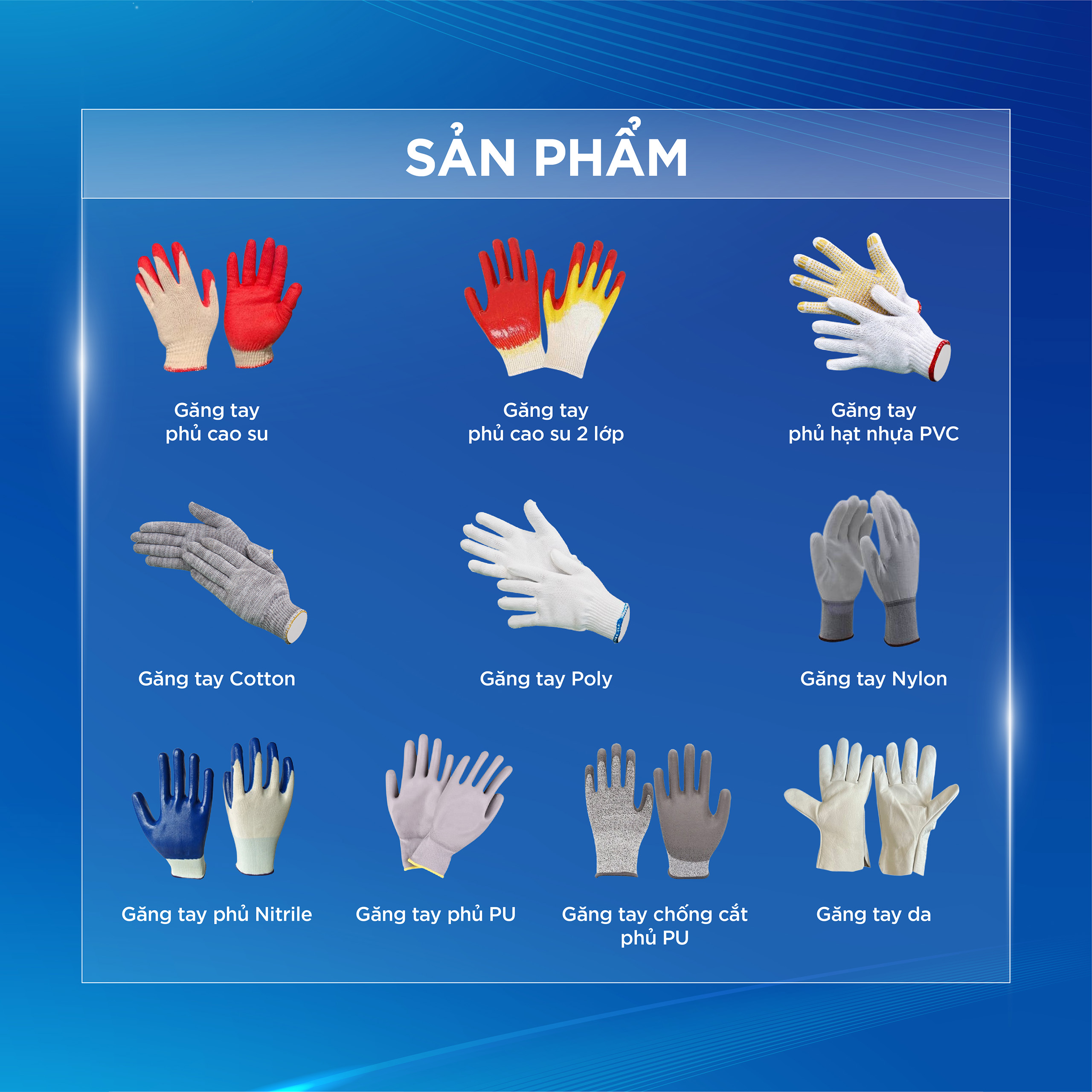  CUNG ỨNG ĐA CHỦNG LOẠI GĂNG TAY 3