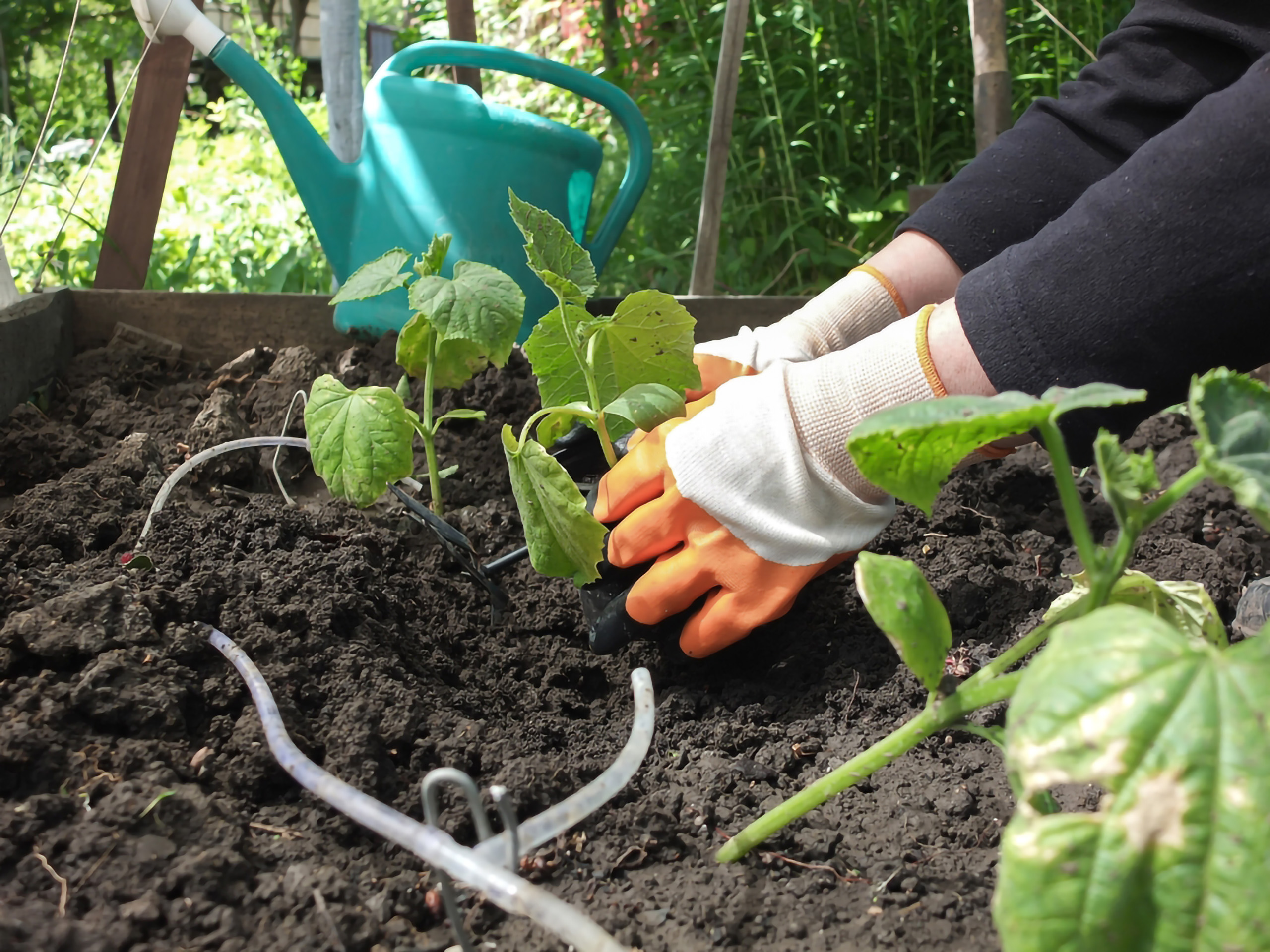 Various types of protective gloves available on the market.